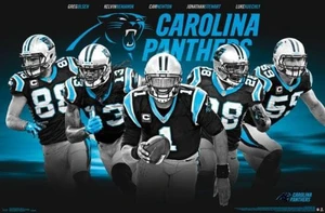 Carolina Panthers - Team 16 Poster Print (34 x 22) Carolina Panthers - Team 16 Poster Print (34 x 22)