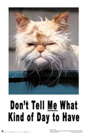Don't Tell Me What Kind of Day to Have - Cat Poster Print (22 x 34) Don't Tell Me What Kind of Day to Have - Cat Poster Print (22 x 34)
