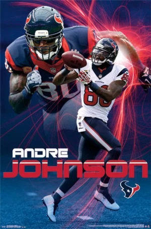 Houston Texans - Andre Johnson 2014 Poster Print (24 x 36) Houston Texans - Andre Johnson 2014 Poster Print (24 x 36)