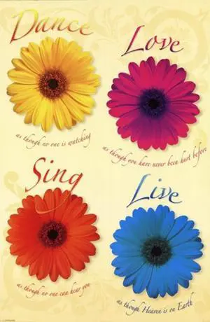 Daisies - Dance Love Sing Live Poster Print (22 x 34) Daisies - Dance Love Sing Live Poster Print (22 x 34)