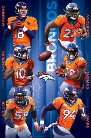 Denver Broncos - Team 15 Poster Print (22 X 34) Denver Broncos - Team 15 Poster Print (22 X 34)