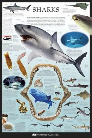 Sharks - Dorling Kindersley Poster Print (22 x 34) Sharks - Dorling Kindersley Poster Print (22 x 34)