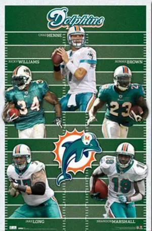 Miami Dolphins - Team 2010 Poster Print (24 x 36) Miami Dolphins - Team 2010 Poster Print (24 x 36)