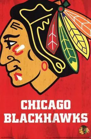 Chicago Blackhawks - Logo 2013 Poster Print (22 x 34) Chicago Blackhawks - Logo 2013 Poster Print (22 x 34)