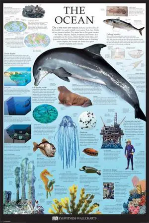 Ocean - Dorling Kindersley Poster Print (34 x 22) Ocean - Dorling Kindersley Poster Print (34 x 22)
