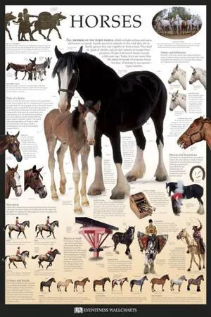 Horses - Dorling Kindersley Eyewitness Wallcharts Poster Print (22 x 34) Horses - Dorling Kindersley Eyewitness Wallcharts Poster Print (22 x 34)