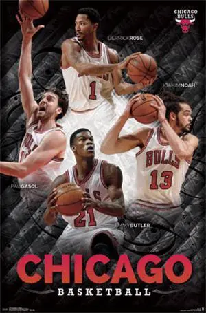 Chicago Bulls - Collage 2014 Poster Print (24 x 36) Chicago Bulls - Collage 2014 Poster Print (24 x 36)