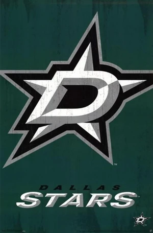 Dallas Stars - Logo 2013 Poster Print (22 x 34) Dallas Stars - Logo 2013 Poster Print (22 x 34)