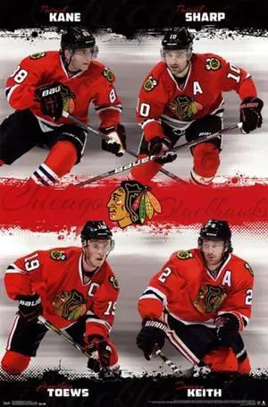 Chicago Blackhawks - Team 2013 Poster Print (22 x 34) Chicago Blackhawks - Team 2013 Poster Print (22 x 34)