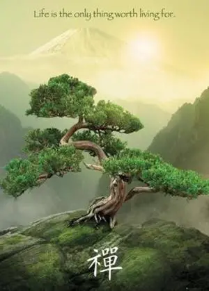 Zen Mountain - Giant Poster Print (39 X 55) Zen Mountain - Giant Poster Print (39 X 55)