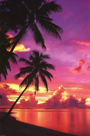 Tahitian Sunset Poster Print (22 x 34) Tahitian Sunset Poster Print (22 x 34)