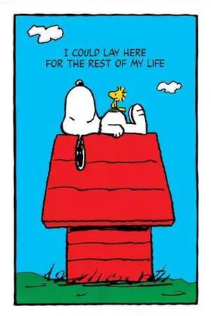 Snoopy Lay Here Poster Print (24 X 36) Snoopy Lay Here Poster Print (24 X 36)