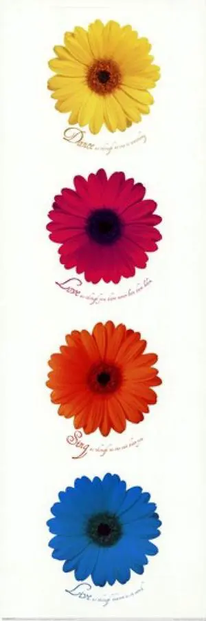 Daisies - Dance Love Sing Live Poster Print (12 x 36) Daisies - Dance Love Sing Live Poster Print (12 x 36)