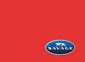 Savage 107" x 12yds Background Paper (#08 Primary Red) Savage 107" x 12yds Background Paper (#08 Primary Red)