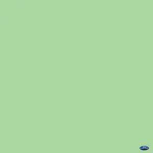 Savage 53" x 12yds Background Paper (#40 Mint Green)