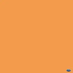 Savage 53" x 12yds Background Paper (#24 Orange)