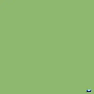 Savage 53" x 12yds Background Paper (#46 Tech Green)