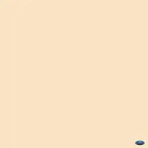 Savage 53" x 36' #19 Egg Nog Seamless Background Paper