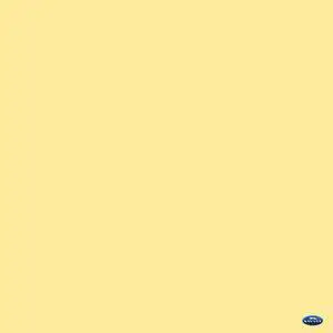Savage 53" x 12yds Background Paper (#04 Sand)