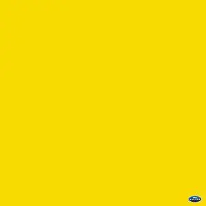 Savage 53" x 12yds Background Paper (#71 Deep Yellow)