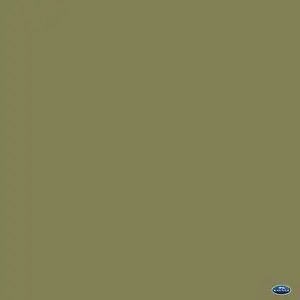Savage 53" x 12yds Background Paper (#34 Olive Green)