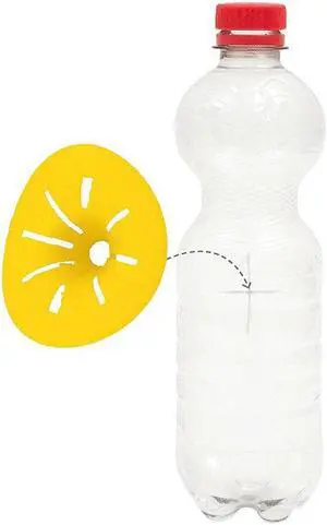Funnel Catcher Wasp and Hornet Trap, 6-Pack