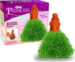 Chia Pet Planter - Princess