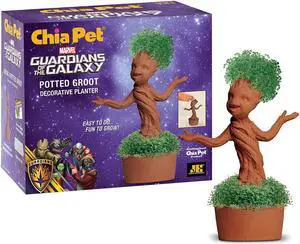 Chia Pet Planter - Potted Groot