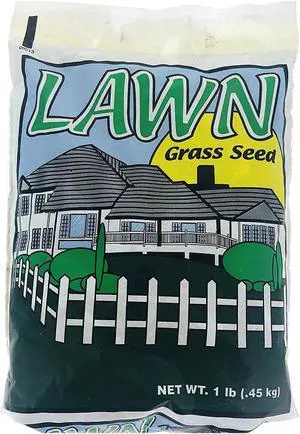 Shade Master Lawn Grass Seed, 1 lb.