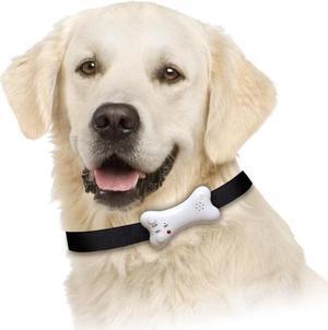 Buster's Bone Voice Recording Pet I.D.
