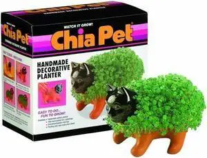 Chia Pet Planter - Kitten Chia Pet Planter - Kitten