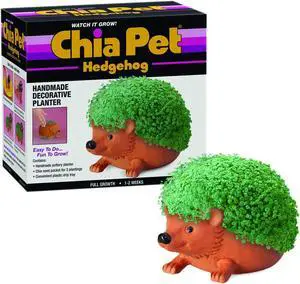 Chia Pet Planter - Hedgehog