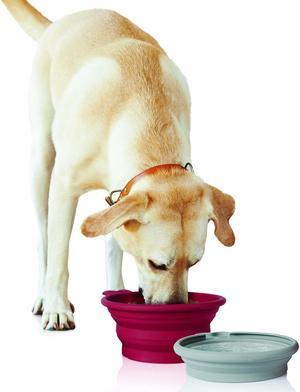Pet Parade - Pop-up Food & Water Bowl