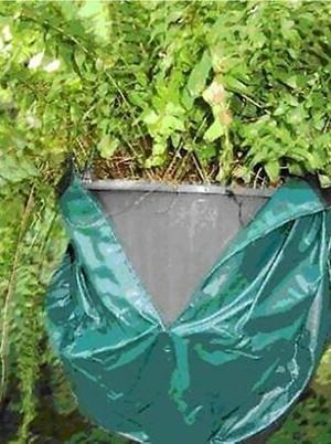 The Monkey Pot Cover (Green)