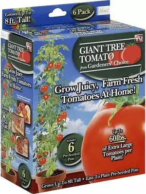 Gardener's Choice Giant Tree Tomato - Includes 6 Pre-Seeded Pots
