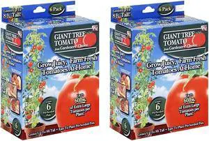 Gardener's Choice Giant Tree Tomato - Includes 12 Pre-Seeded Pots