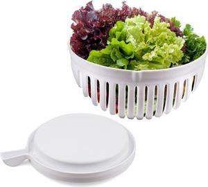 Salad Cutter Bowl