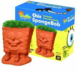 Chia Pet SpongeBob Handmade Decorative Planter