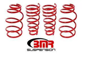 LOWERING SPRING KIT LOWERING SPRING KIT