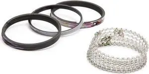Sealed Power R934235 Piston Ring Set