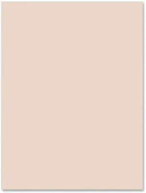 Pacon Tagboard Paper