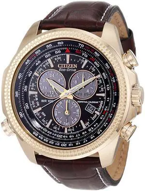 Citizen Men's Eco-Drive BL540303X Perpetual Calendar Watch