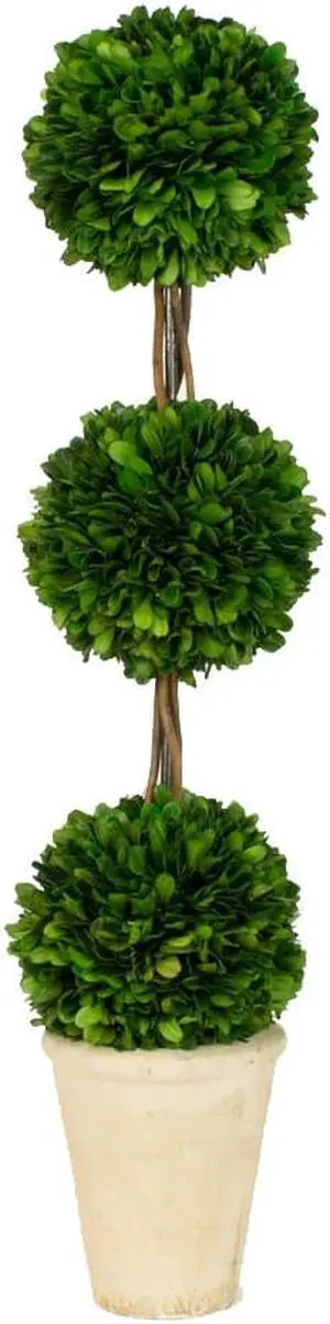 Vandue 24" Real Natural Preserved Boxwood Triple Ball Topiary w/Decorative Pot