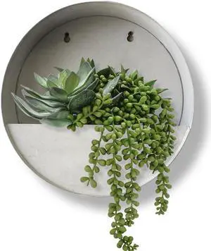 Modern Home Round Living Wall Mounted Galvanized Steel/Zinc Succulent/Herb Planter (Aged Zinc, Medium)