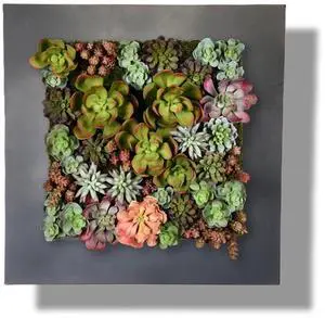 Modern Home Living Wall Galvanized Steel/Zinc Succulent Planter (Black Zinc, 16 Pocket)