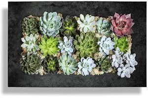 Modern Home Living Wall Galvanized Steel/Zinc Succulent Planter (Black Zinc, Horizontal 18 Pocket)