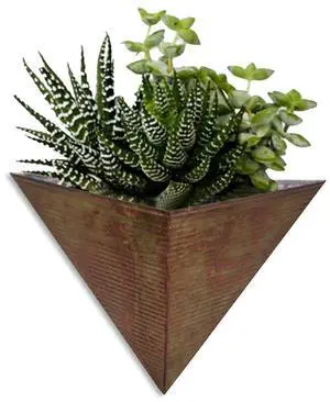 Modern Home Triangle Living Wall Mounted Galvanized Steel/Zinc Succulent/Herb Planter (Rust Zinc, Single)