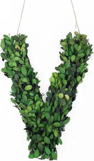 Modern Home 12" Real Preserved Boxwood Monogram Wreath Letters - V