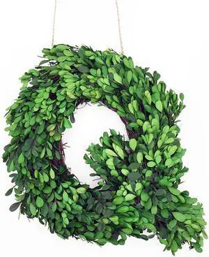 Modern Home 12" Real Preserved Boxwood Monogram Wreath Letters - Q