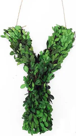 Modern Home 12" Real Preserved Boxwood Monogram Wreath Letters - Y
